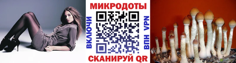 блэк спрут ONION  Узловая  Галлюциногенные грибы мицелий 